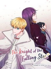 The Knight of the Falling Star