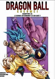 Dragon ball kakumei