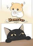 Cat and hamster