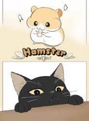 Cat and hamster