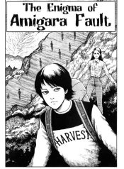 The Enigma of Amigara Fault