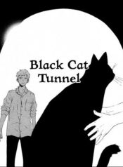 Black Cat Tunnel