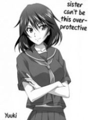 Infinite Stratos – My Older Sister Can’t Be This Overprotective (Doujinshi)