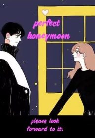 Perfect Honeymoon
