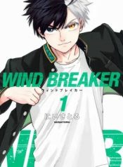 Wind Breaker