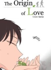 large_cover