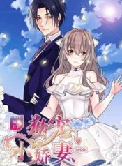 My Precious Wife and First Love