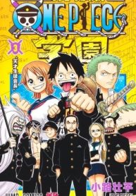 One Piece Academy