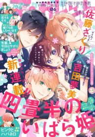 Yojouhan no Ibara Hime